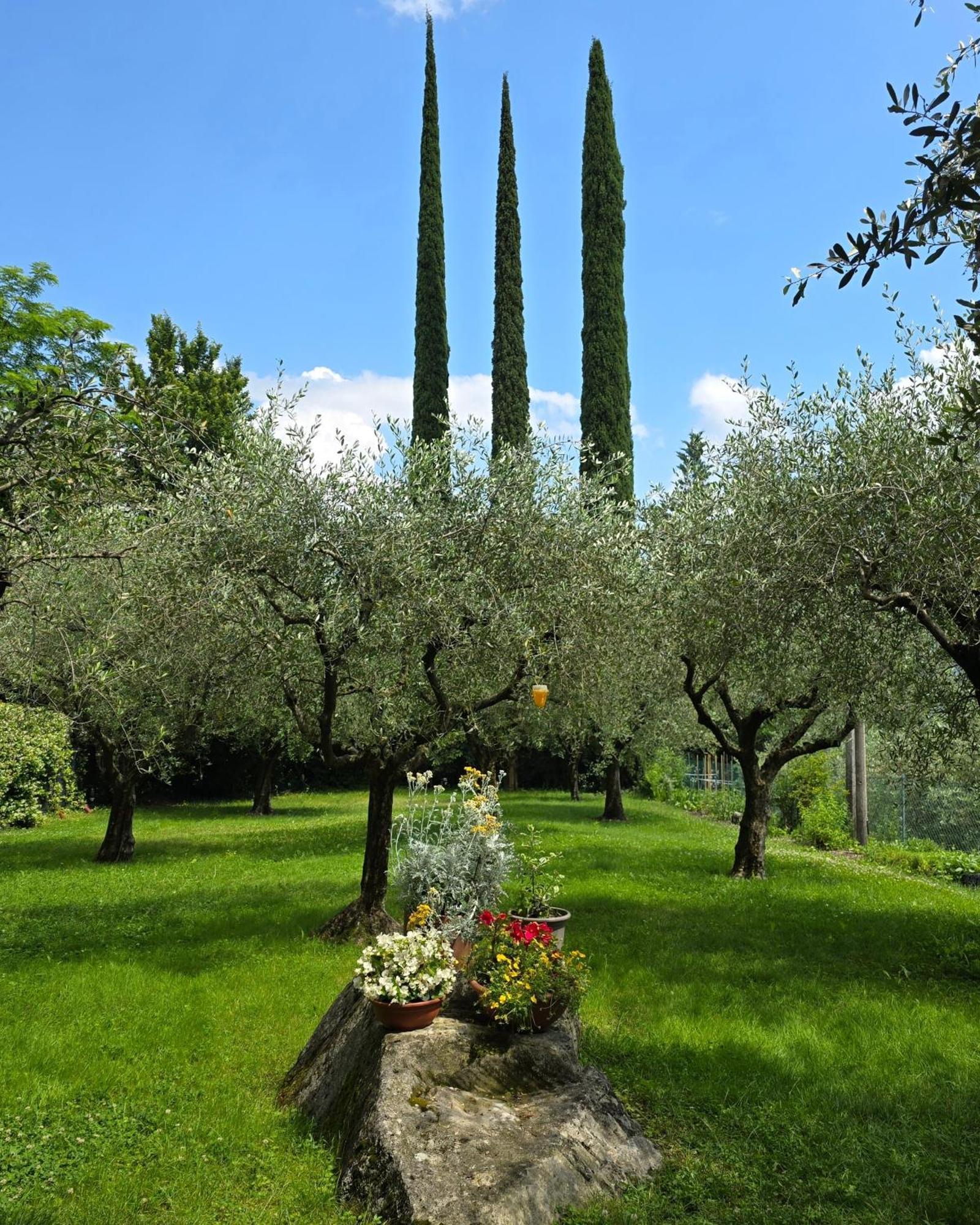 Hotel La Berlera - Riva Del Garda Esterno foto