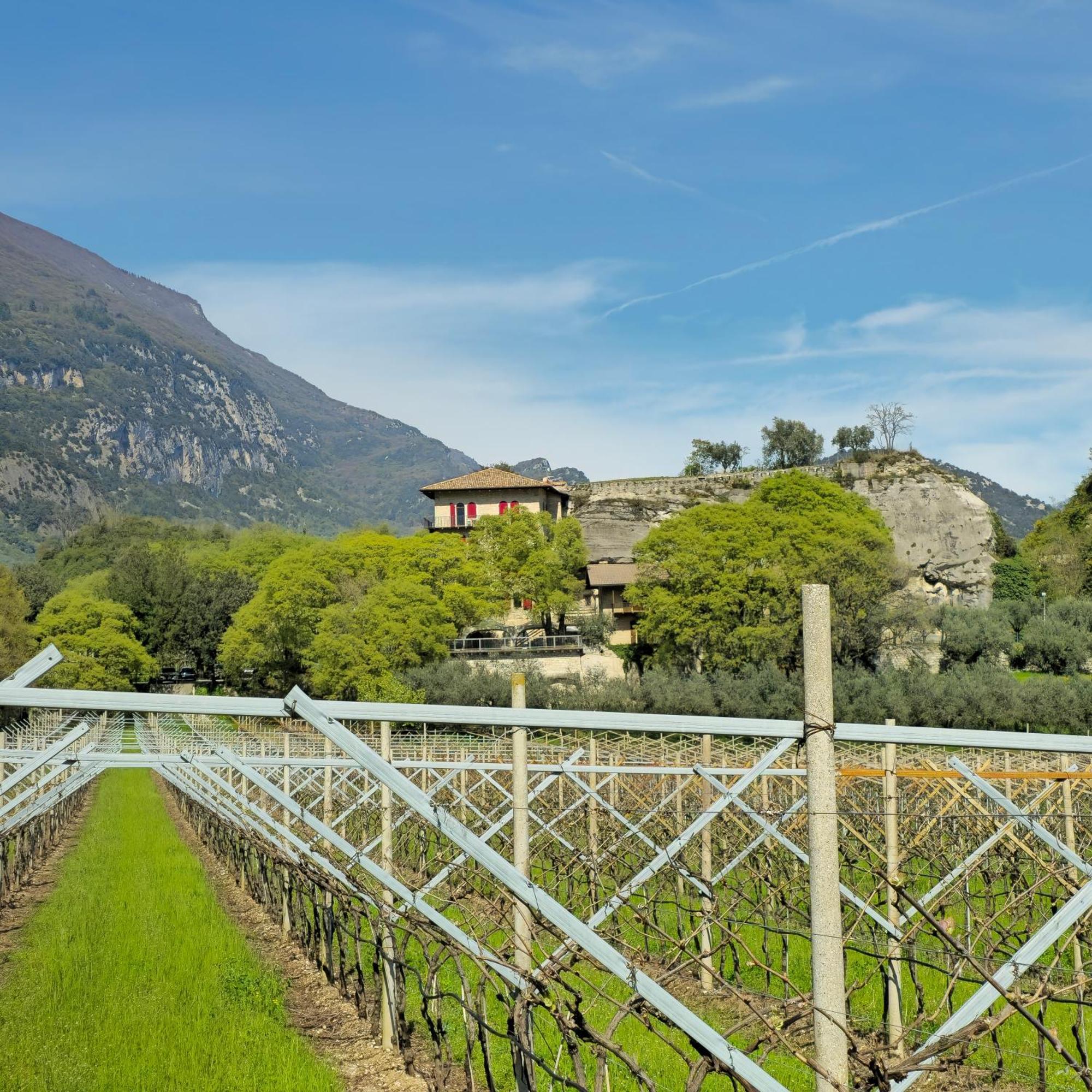 Hotel La Berlera - Riva Del Garda Esterno foto